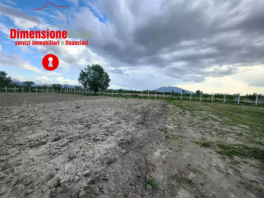 Immagine 11 di Terreno agricolo in vendita  in via pezzalunga a Acerra