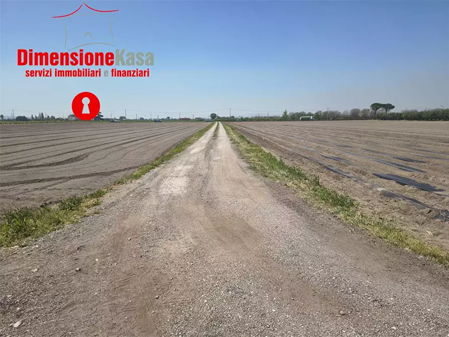 Immagine 6 di Terreno agricolo in vendita  in Via ponte dei cani 66 a Acerra