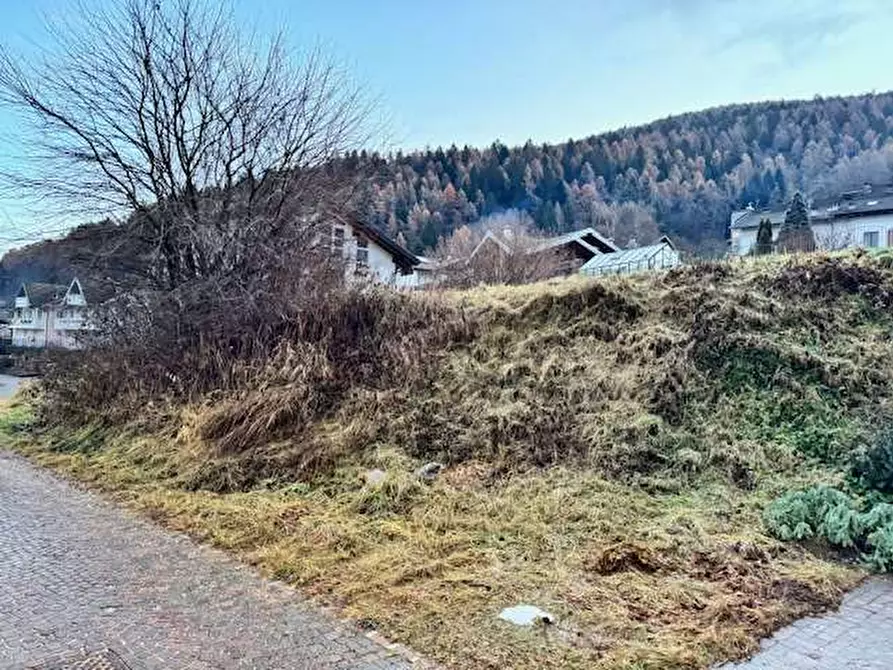 Immagine 3 di Terreno edificabile in vendita  a Albiano