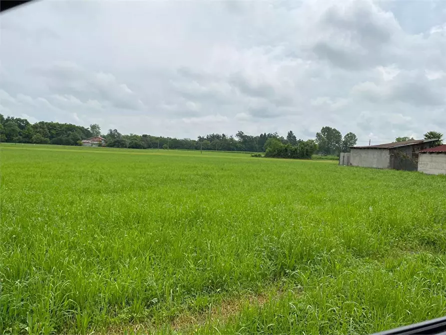 Immagine 1 di Terreno agricolo in vendita  a Cavour