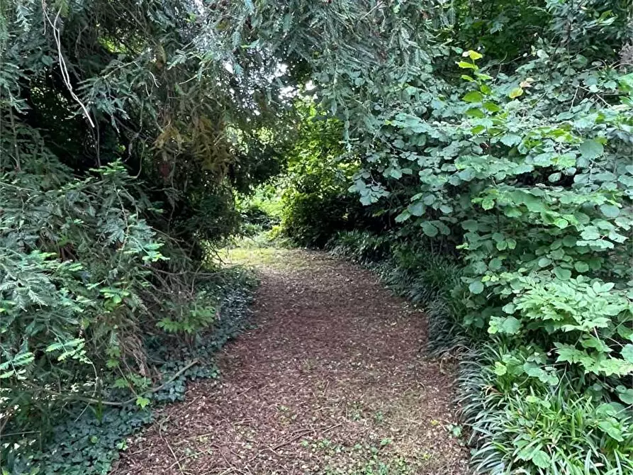 Immagine 40 di Villa in vendita  in Via Giusto Lanteri 34 a Cumiana