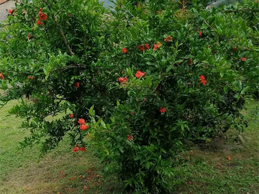 Immagine 21 di Casa bifamiliare in vendita  in via Mondovì 36 a Envie