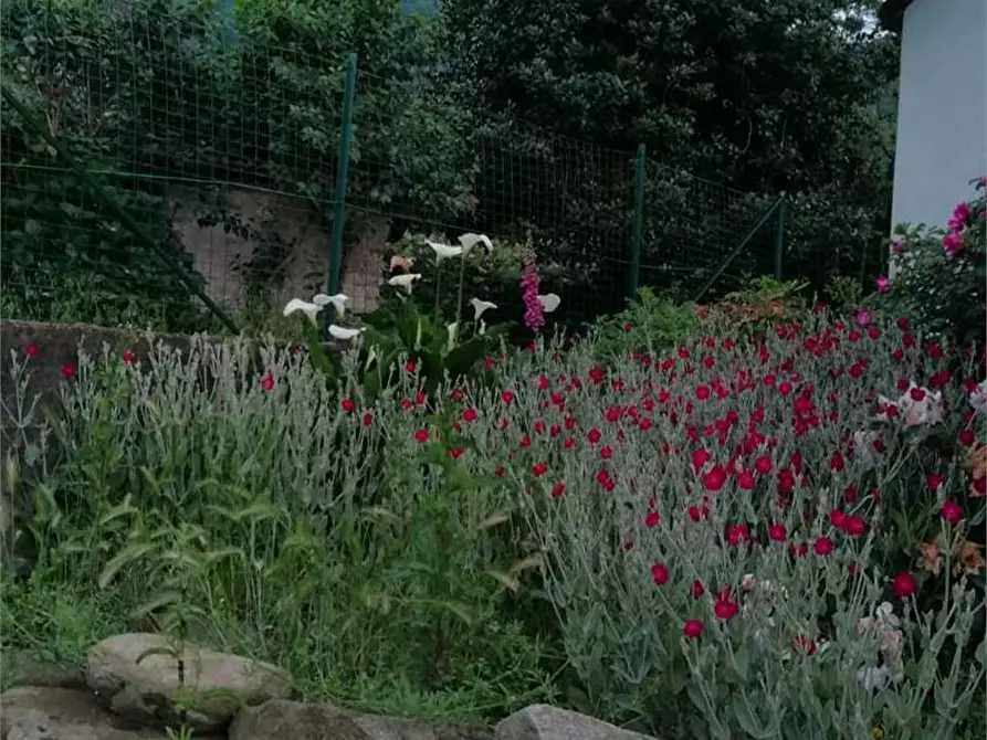 Immagine 25 di Casa bifamiliare in vendita  in via Mondovì 36 a Envie