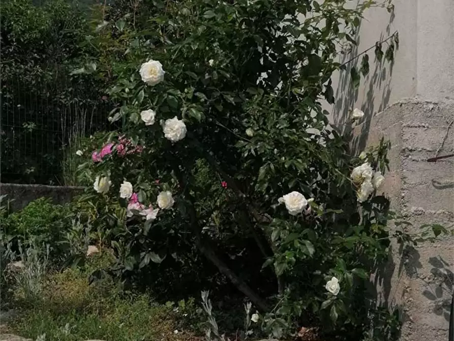 Immagine 27 di Casa bifamiliare in vendita  in via Mondovì 36 a Envie