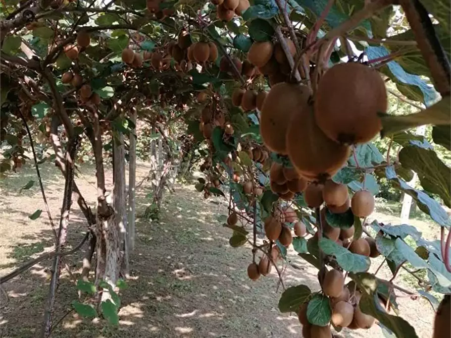 Immagine 29 di Casa bifamiliare in vendita  in via Mondovì 36 a Envie