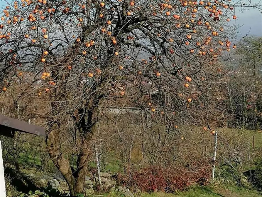 Immagine 35 di Casa bifamiliare in vendita  in via Mondovì 36 a Envie