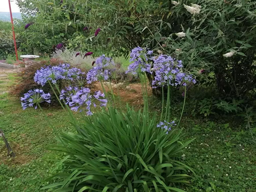 Immagine 37 di Casa bifamiliare in vendita  in via Mondovì 36 a Envie