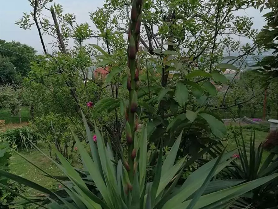 Immagine 38 di Casa bifamiliare in vendita  in via Mondovì 36 a Envie