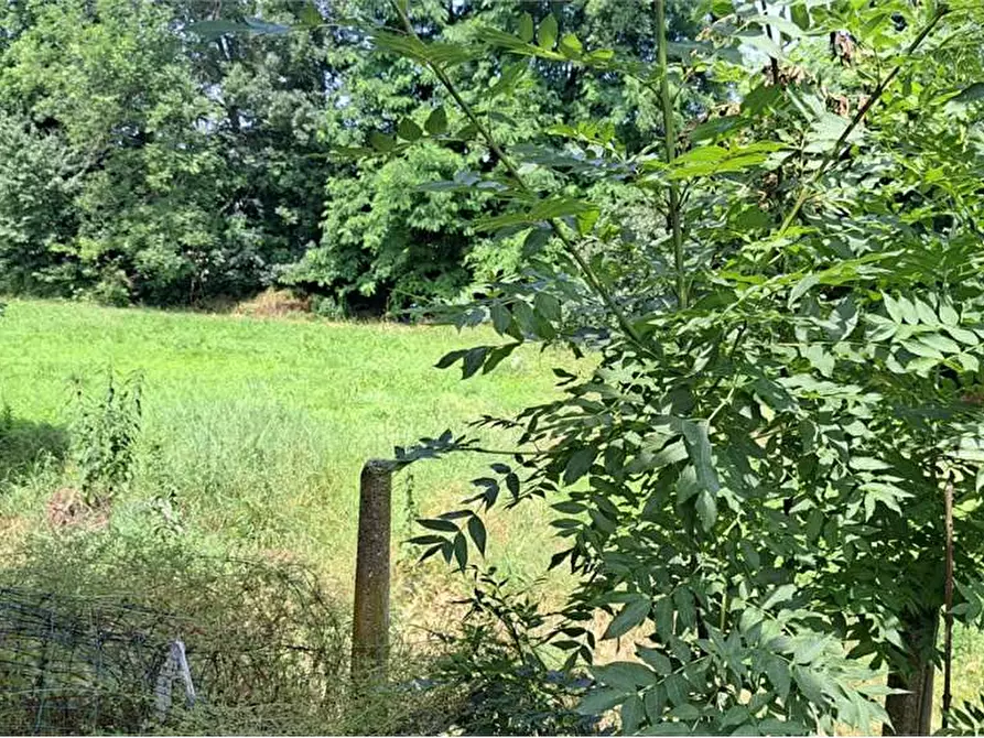 Immagine 27 di Rustico / casale in vendita  in Godino Delio 61 a San Secondo Di Pinerolo