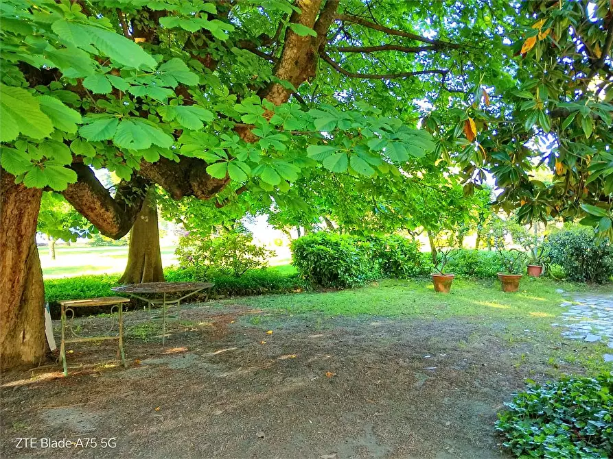 Immagine 31 di Villa in affitto  in viale Gabotto 21 a Pinerolo