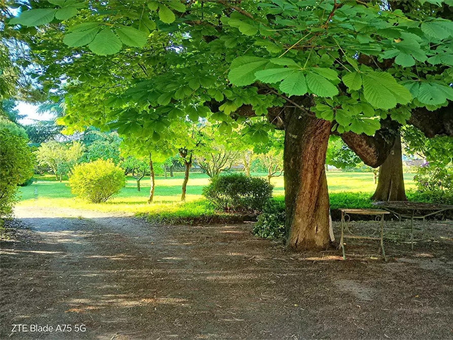 Immagine 32 di Villa in affitto  in viale Gabotto 21 a Pinerolo
