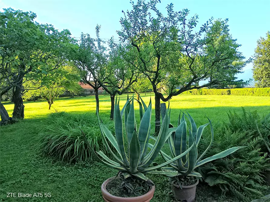 Immagine 33 di Villa in affitto  in viale Gabotto 21 a Pinerolo