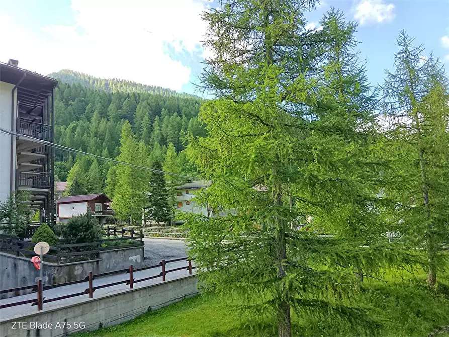 Immagine 3 di Appartamento in vendita  in VIA VINAI a Prali