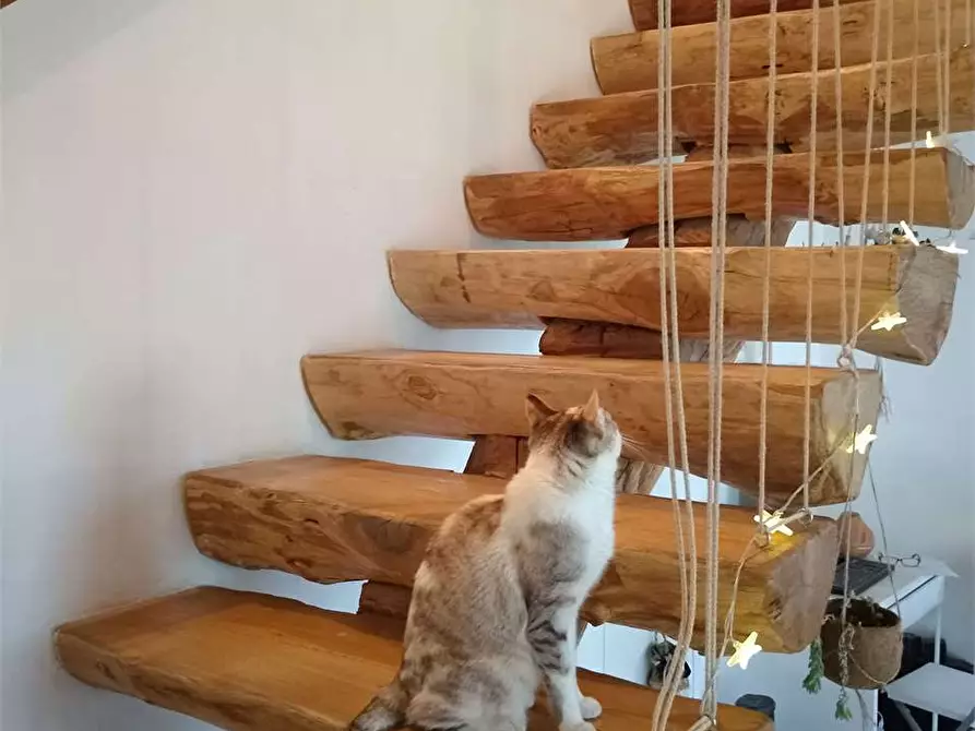 Immagine 13 di Rustico / casale in vendita  in VIA COPPIERI 49 a Torre Pellice