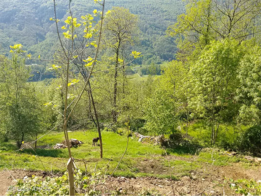 Immagine 72 di Rustico / casale in vendita  in VIA COPPIERI 49 a Torre Pellice