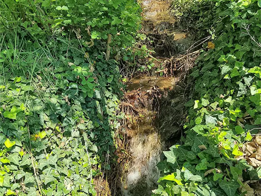 Immagine 79 di Rustico / casale in vendita  in VIA COPPIERI 49 a Torre Pellice