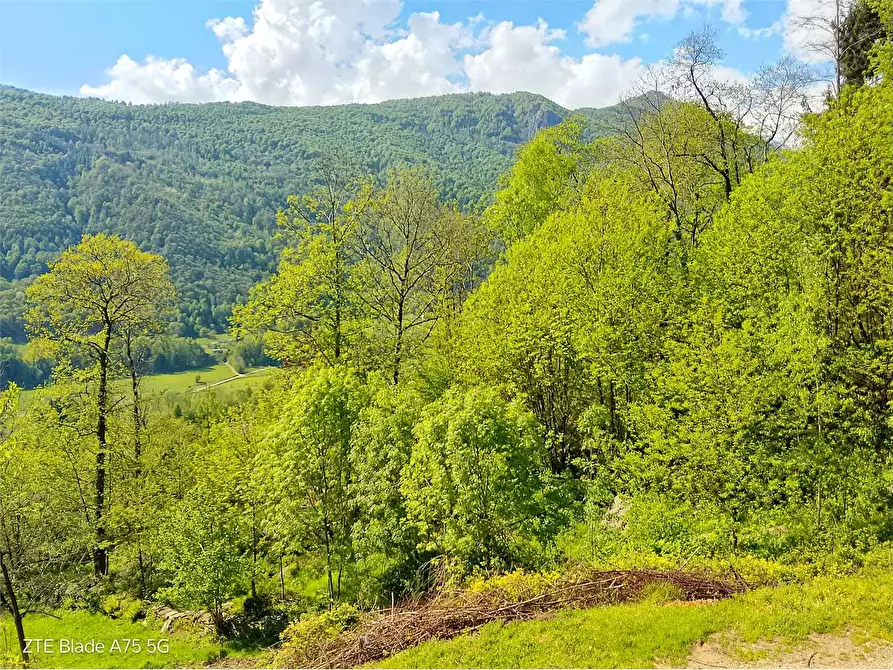 Immagine 81 di Rustico / casale in vendita  in VIA COPPIERI 49 a Torre Pellice