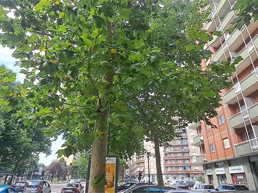 Immagine 3 di Negozio in affitto  in Corso Siracusa  109 a Torino