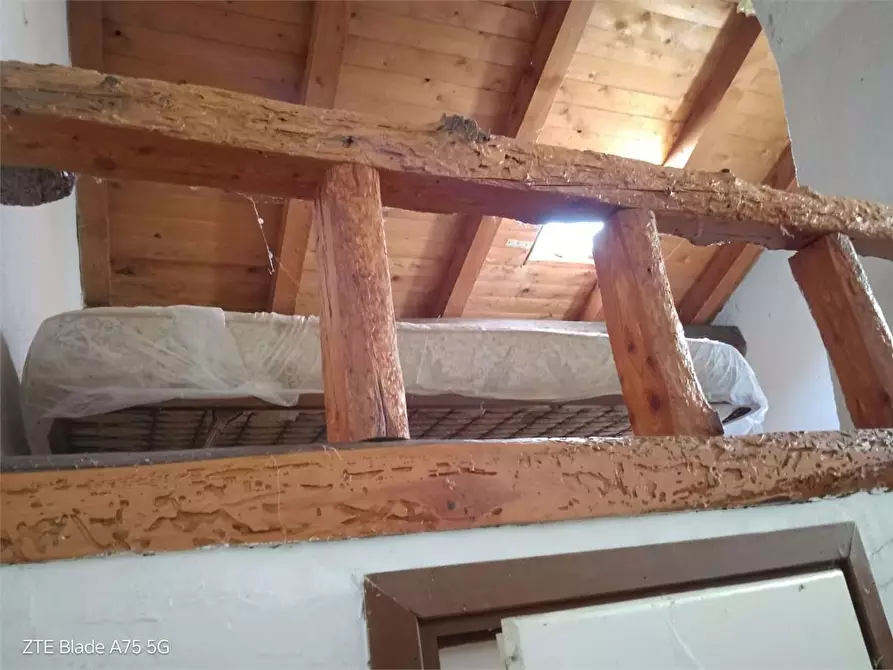 Immagine 28 di Baita in vendita  in Borgata Folatone a Vaie