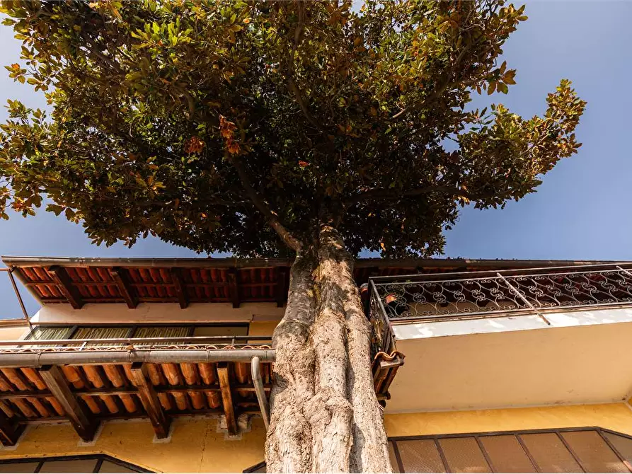 Immagine 15 di Villa in vendita  in via Davico 75 a Pinerolo