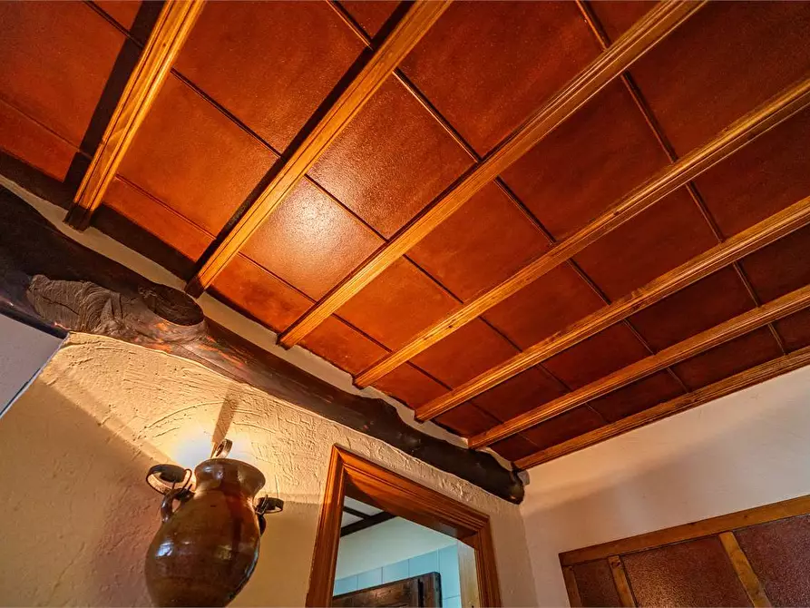 Immagine 61 di Villa in vendita  in via Davico 75 a Pinerolo