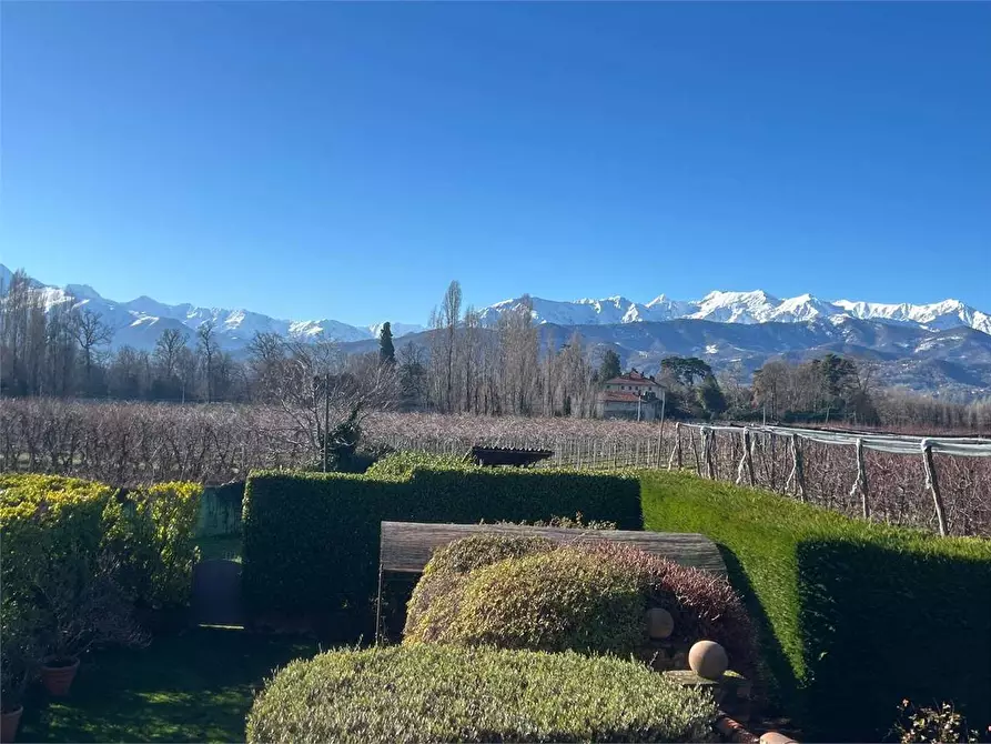 Immagine 84 di Porzione di villa in vendita  in stradale Baudenasca 60 a Pinerolo