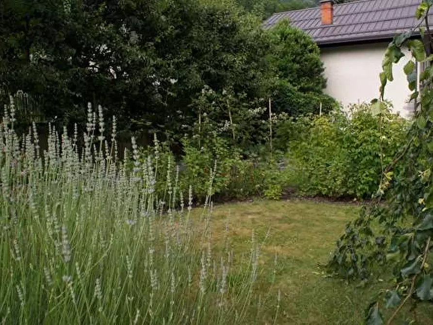 Immagine 31 di Villa in vendita  in Borgo Colonnello Pettinati 2 a Perrero