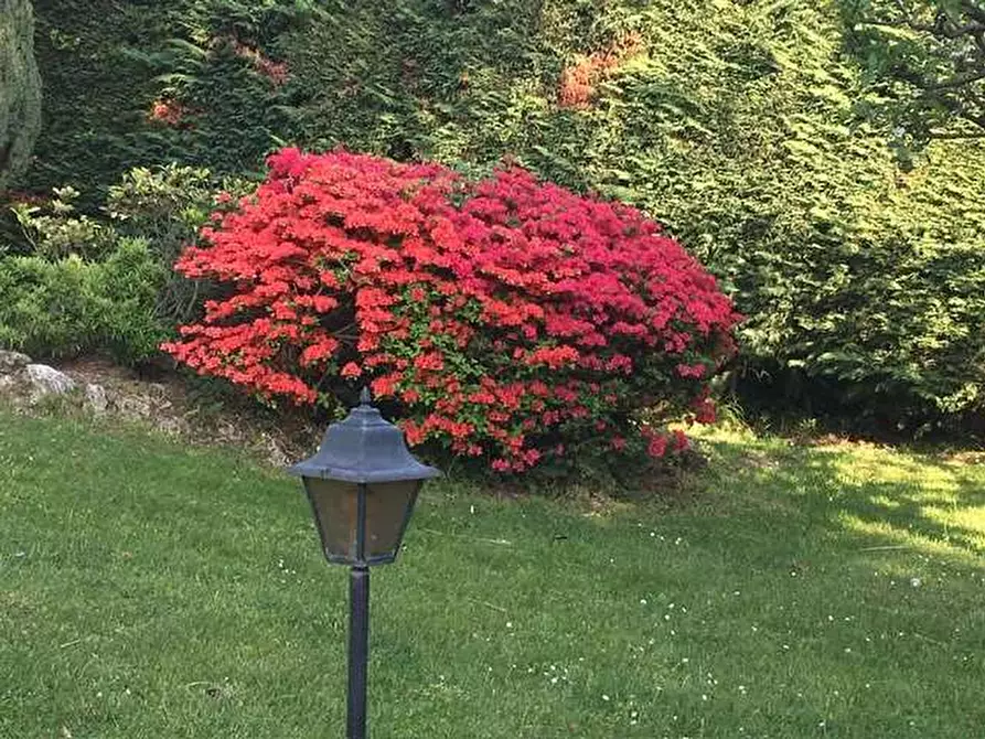 Immagine 16 di Villa in vendita  in STRADA PIANASSA 12 a Cantalupa