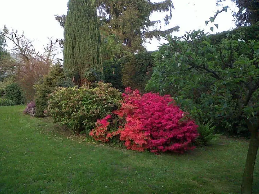 Immagine 19 di Villa in vendita  in STRADA PIANASSA 12 a Cantalupa