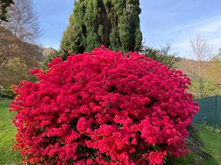 Immagine 27 di Villa in vendita  in STRADA PIANASSA 12 a Cantalupa