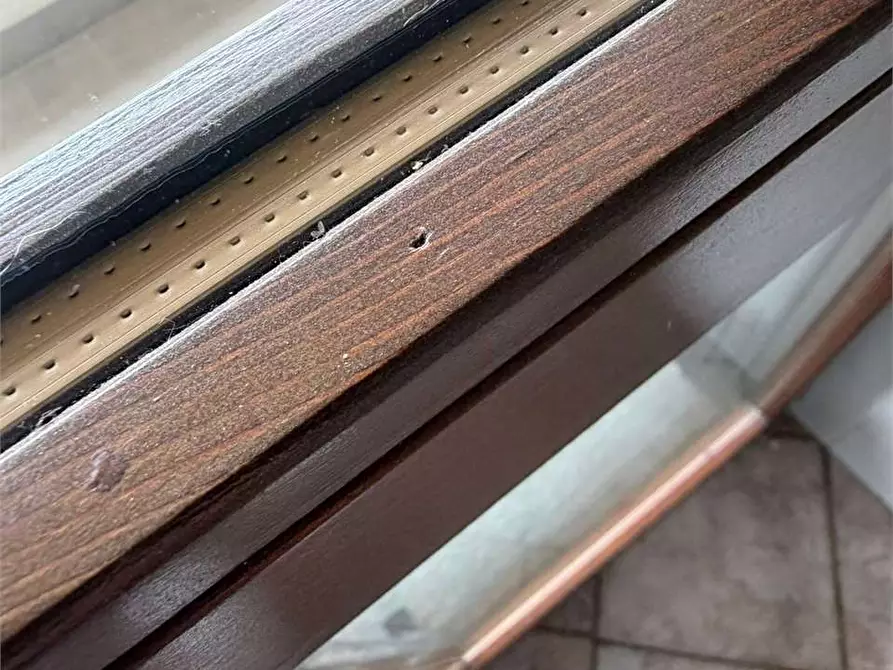 Immagine 16 di Appartamento in affitto  in via Giacomo Puccini 2 a Bagnolo Piemonte