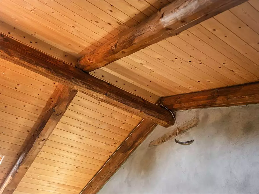 Immagine 37 di Villa in vendita  a Buriasco