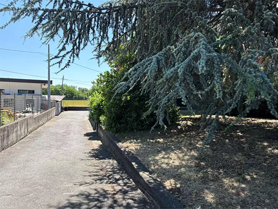 Immagine 40 di Villa in vendita  in stradale Pinerolo 18 a Bricherasio
