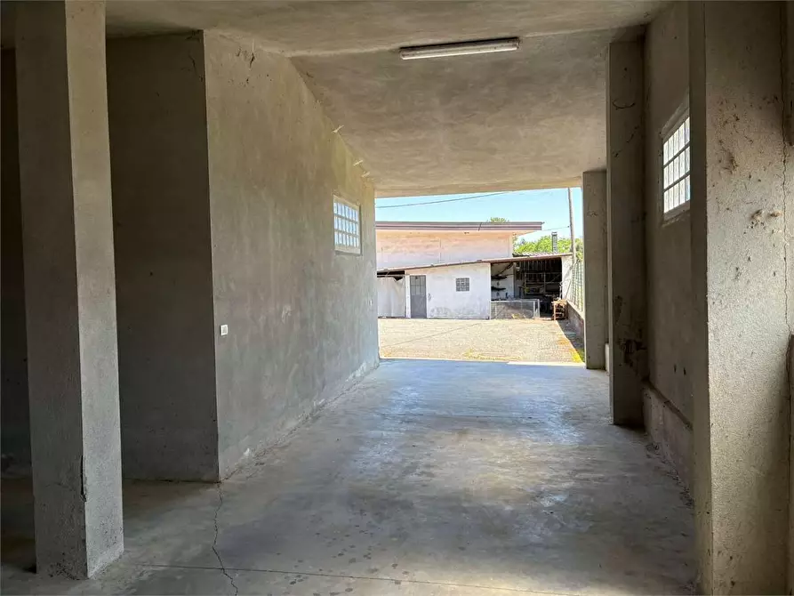 Immagine 47 di Villa in vendita  in stradale Pinerolo 18 a Bricherasio