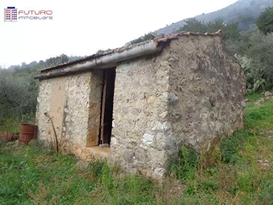 Immagine 2 di Terreno agricolo in vendita  a Fondi