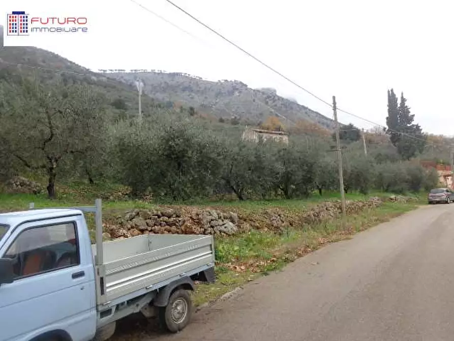 Immagine 3 di Terreno agricolo in vendita  a Fondi