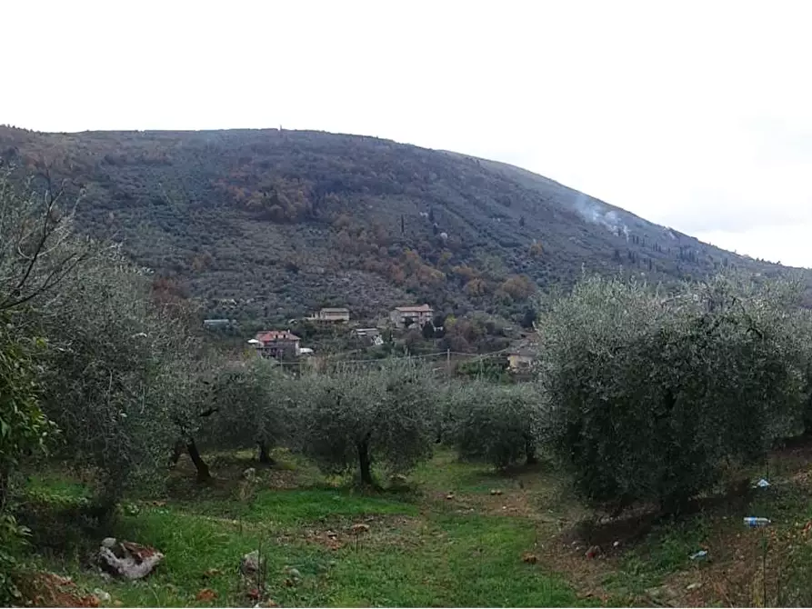 Immagine 4 di Terreno agricolo in vendita  a Fondi