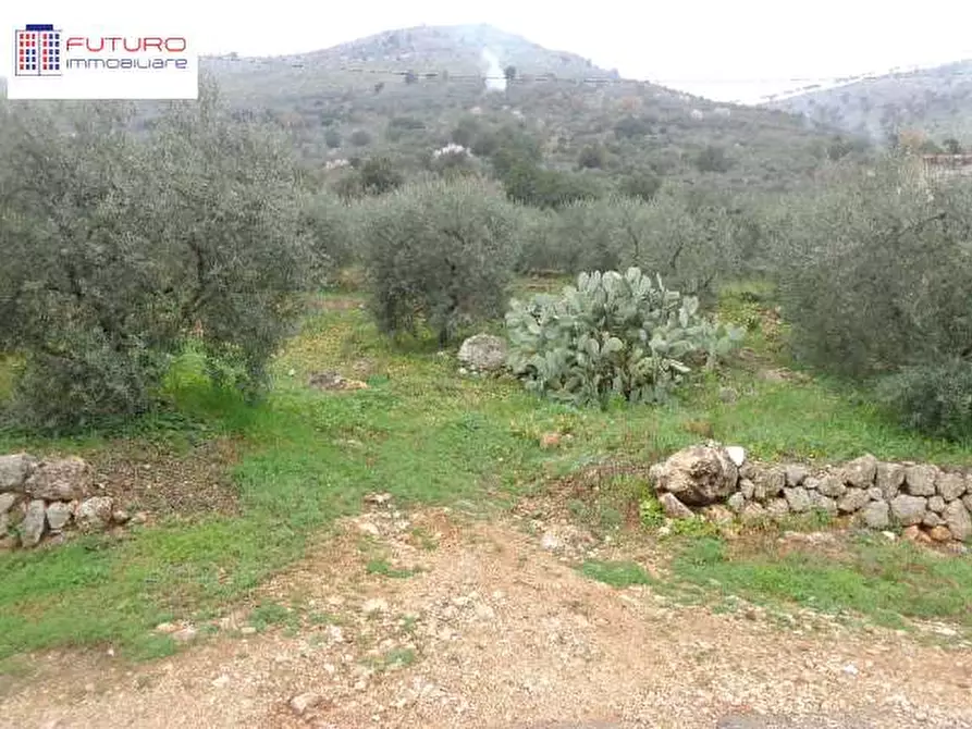 Immagine 5 di Terreno agricolo in vendita  a Fondi