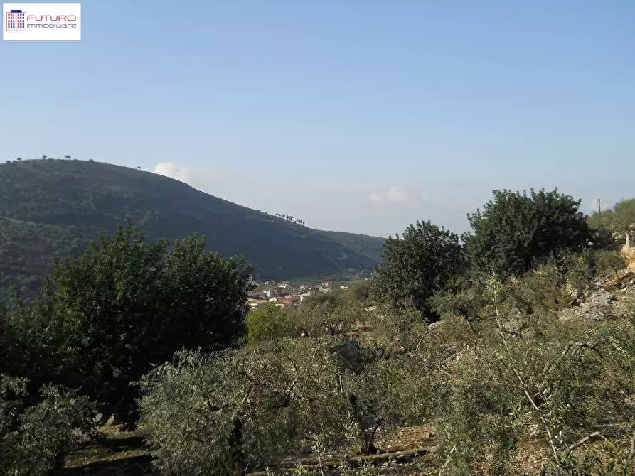 Immagine 4 di Villa in vendita  a Fondi