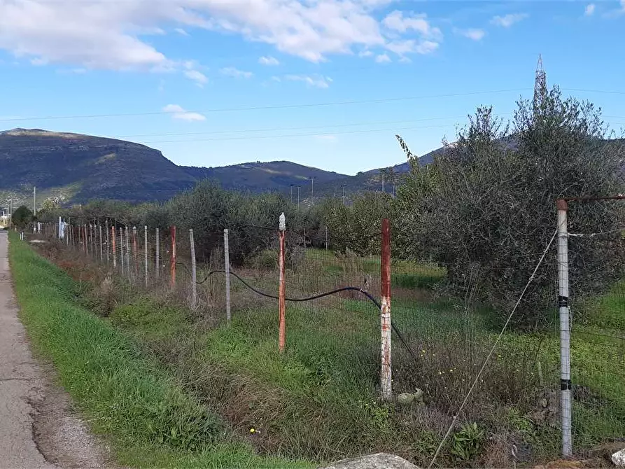 Immagine 1 di Terreno agricolo in vendita  a Fondi