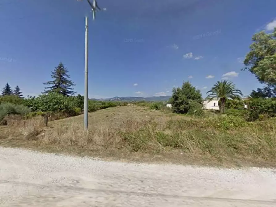 Immagine 6 di Terreno agricolo in vendita  a Lanuvio