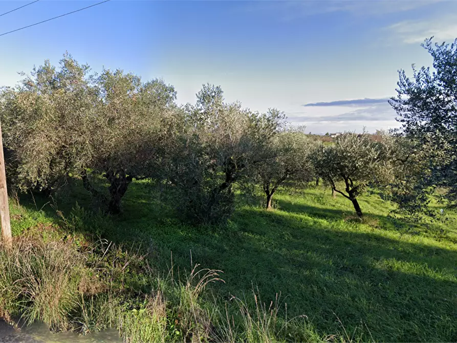 Immagine 1 di Terreno agricolo in vendita  in Via Fosso di Presciano 4 a Lanuvio