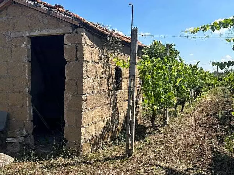 Immagine 6 di Terreno agricolo in vendita  in Via Velino a Lanuvio