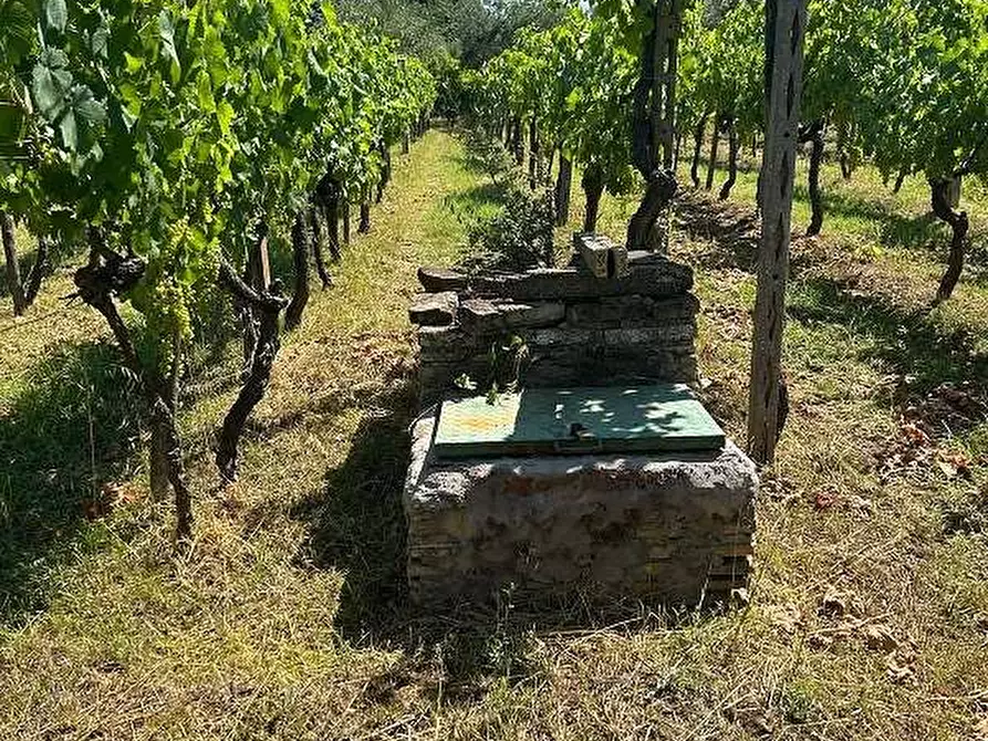 Immagine 4 di Terreno agricolo in vendita  in Via Velino a Lanuvio