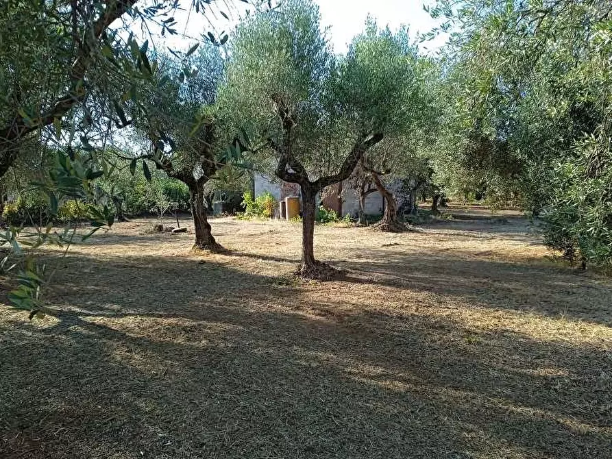 Immagine 1 di Terreno agricolo in vendita  in Via della fontanella 4 a Genzano Di Roma