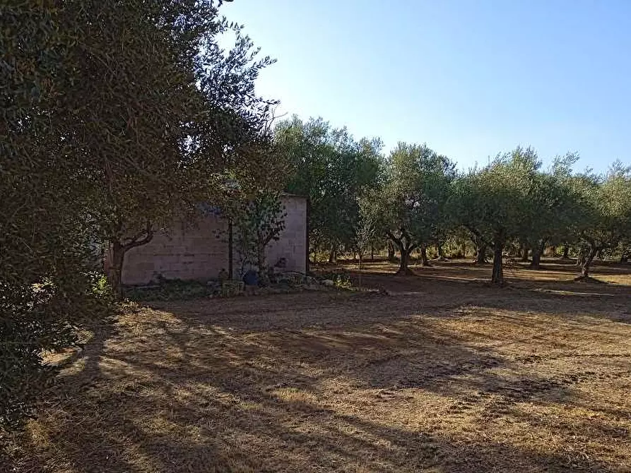 Immagine 2 di Terreno agricolo in vendita  in Via della fontanella 4 a Genzano Di Roma