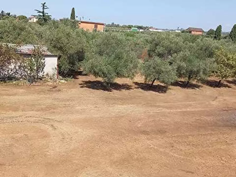 Immagine 3 di Terreno agricolo in vendita  in Via della fontanella 4 a Genzano Di Roma