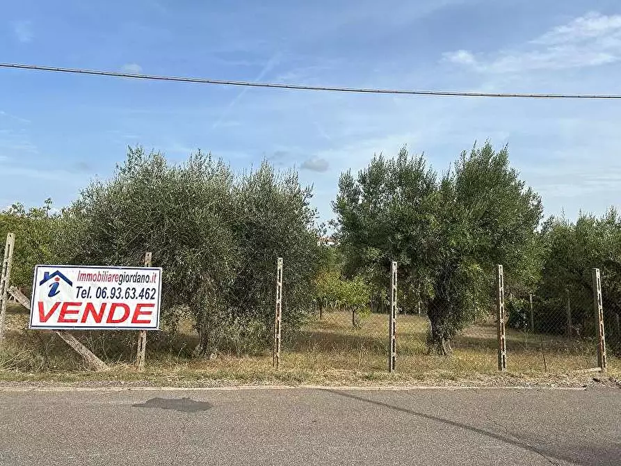 Immagine 12 di Terreno agricolo in vendita  in Via Astura a Lanuvio