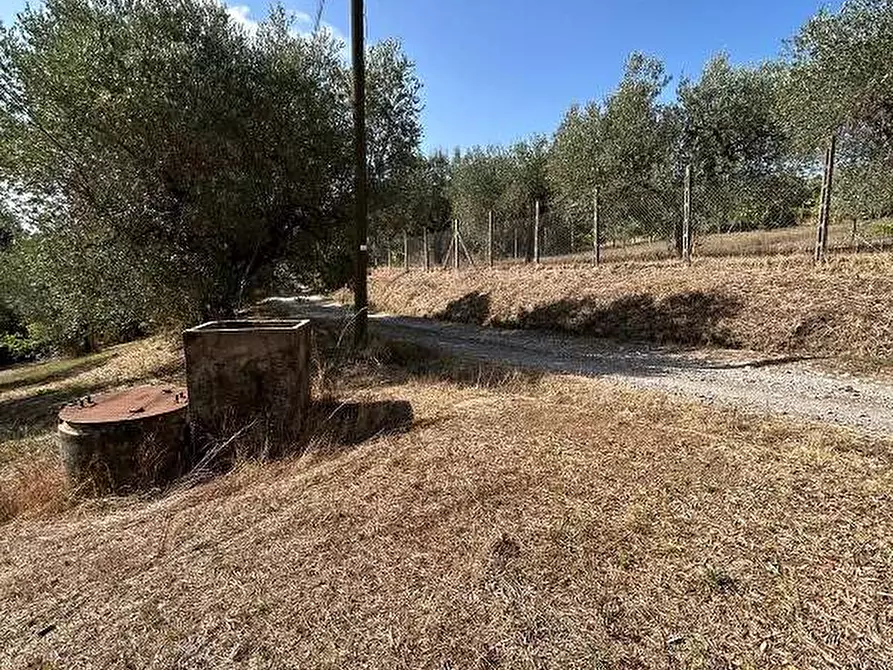 Immagine 5 di Terreno agricolo in vendita  in Via Astura a Lanuvio