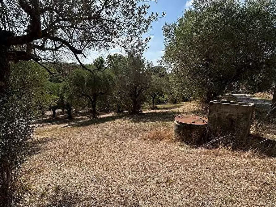 terreno agricolo in vendita a Lanuvio